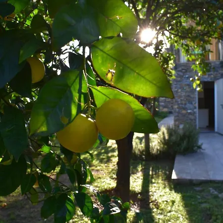 Profumo Di Limoni Lägenhet Recco