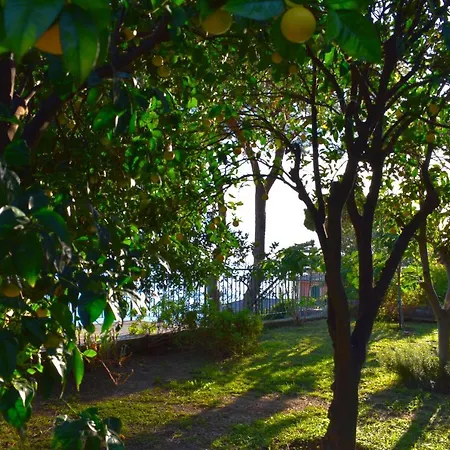 Profumo Di Limoni Апартаменты