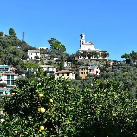 Апартаменты Profumo Di Limoni Рекко
